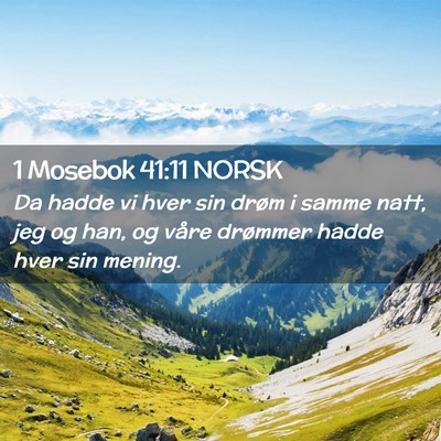 Picture 02 - 1 Mosebok 41:11 NORSK - Da hadde vi hver sin drøm i samme natt, jeg og - Bible Verse Picture