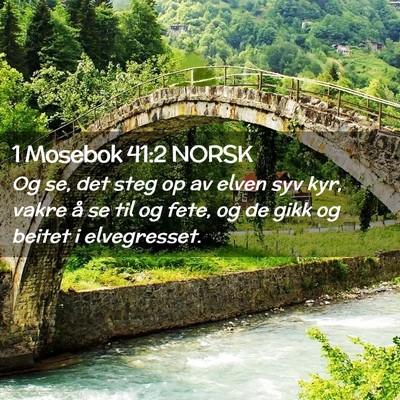 Picture 02 - 1 Mosebok 41:2 NORSK - Og se, det steg op av elven syv kyr, vakre å se - Bible Verse Picture