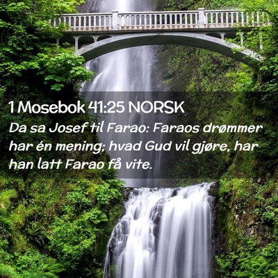 Picture 02 - 1 Mosebok 41:25 NORSK - Da sa Josef til Farao: Faraos drømmer har én - Bible Verse Picture