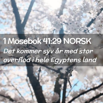 Picture 02 - 1 Mosebok 41:29 NORSK - Det kommer syv år med stor overflod i hele - Bible Verse Picture