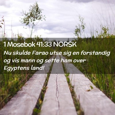 Picture 02 - 1 Mosebok 41:33 NORSK - Nu skulde Farao utse sig en forstandig og vis - Bible Verse Picture