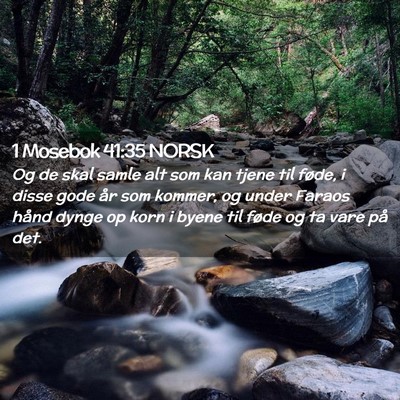 Picture 02 - 1 Mosebok 41:35 NORSK - Og de skal samle alt som kan tjene til føde, i - Bible Verse Picture