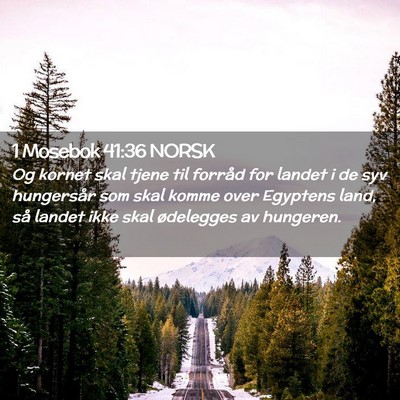 Picture 02 - 1 Mosebok 41:36 NORSK - Og kornet skal tjene til forråd for landet i de - Bible Verse Picture