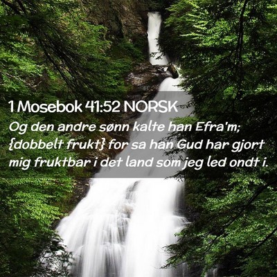 Picture 02 - 1 Mosebok 41:52 NORSK - Og den andre sønn kalte han Efra'm; {dobbelt - Bible Verse Picture