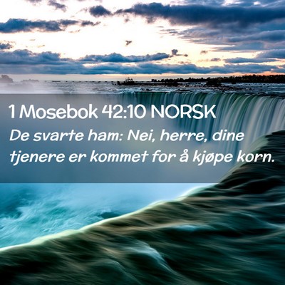 Picture 02 - 1 Mosebok 42:10 NORSK - De svarte ham: Nei, herre, dine tjenere er kommet - Bible Verse Picture