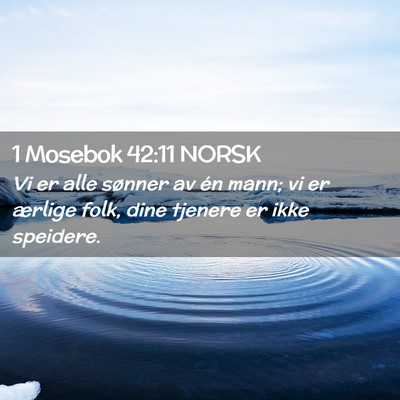 Picture 02 - 1 Mosebok 42:11 NORSK - Vi er alle sønner av én mann; vi er ærlige - Bible Verse Picture