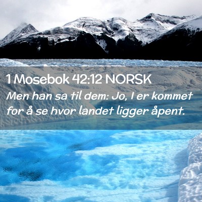 Picture 02 - 1 Mosebok 42:12 NORSK - Men han sa til dem: Jo, I er kommet for å se - Bible Verse Picture