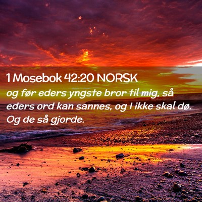 Picture 02 - 1 Mosebok 42:20 NORSK - og før eders yngste bror til mig, så eders ord - Bible Verse Picture