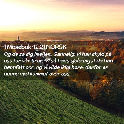 Picture 02 - 1 Mosebok 42:21 NORSK - Og de sa sig imellem: Sannelig, vi har skyld på - Bible Verse Picture