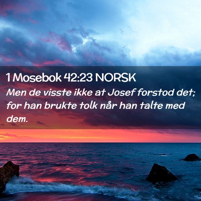 Picture 02 - 1 Mosebok 42:23 NORSK - Men de visste ikke at Josef forstod det; for han - Bible Verse Picture