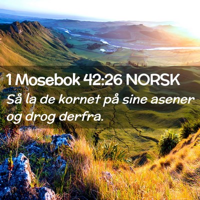 Picture 02 - 1 Mosebok 42:26 NORSK - Så la de kornet på sine asener og drog - Bible Verse Picture