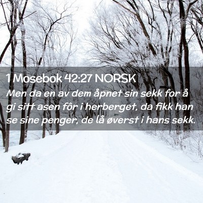Picture 02 - 1 Mosebok 42:27 NORSK - Men da en av dem åpnet sin sekk for å gi sitt - Bible Verse Picture