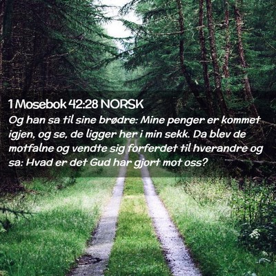 Picture 02 - 1 Mosebok 42:28 NORSK - Og han sa til sine brødre: Mine penger er kommet - Bible Verse Picture