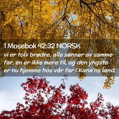 Picture 02 - 1 Mosebok 42:32 NORSK - vi er tolv brødre, alle sønner av samme far, - Bible Verse Picture
