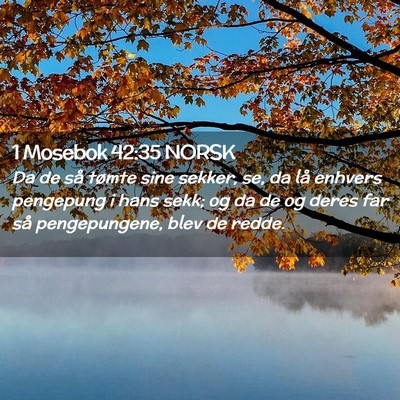 Picture 02 - 1 Mosebok 42:35 NORSK - Da de så tømte sine sekker, se, da lå enhvers - Bible Verse Picture