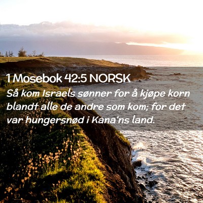 Picture 02 - 1 Mosebok 42:5 NORSK - Så kom Israels sønner for å kjøpe korn blandt - Bible Verse Picture