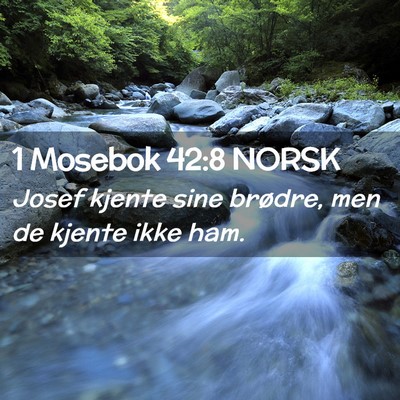 Picture 02 - 1 Mosebok 42:8 NORSK - Josef kjente sine brødre, men de kjente ikke - Bible Verse Picture