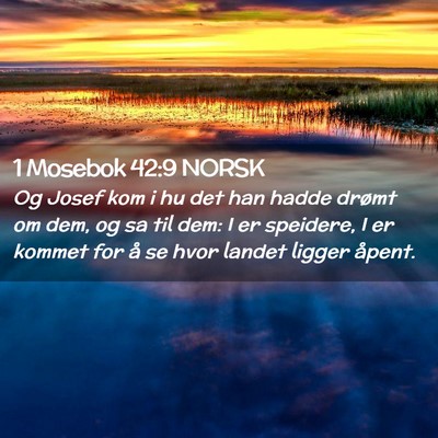 Picture 02 - 1 Mosebok 42:9 NORSK - Og Josef kom i hu det han hadde drømt om dem, og - Bible Verse Picture