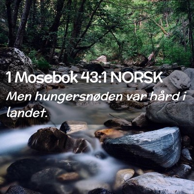 Picture 02 - 1 Mosebok 43:1 NORSK - Men hungersnøden var hård i - Bible Verse Picture