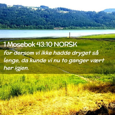 Picture 02 - 1 Mosebok 43:10 NORSK - for dersom vi ikke hadde dryget så lenge, da - Bible Verse Picture