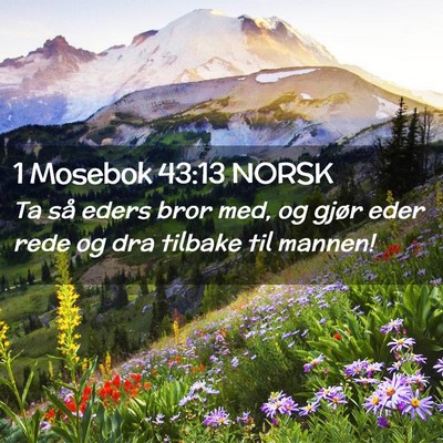 Picture 02 - 1 Mosebok 43:13 NORSK - Ta så eders bror med, og gjør eder rede og dra - Bible Verse Picture