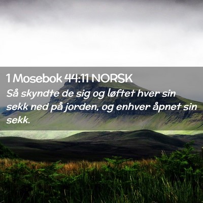 Picture 02 - 1 Mosebok 44:11 NORSK - Så skyndte de sig og løftet hver sin sekk ned - Bible Verse Picture