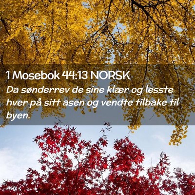 Picture 02 - 1 Mosebok 44:13 NORSK - Da sønderrev de sine klær og lesste hver på - Bible Verse Picture