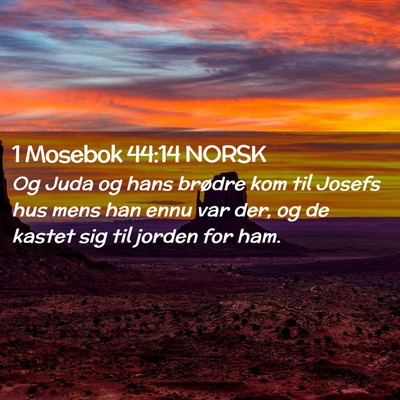Picture 02 - 1 Mosebok 44:14 NORSK - Og Juda og hans brødre kom til Josefs hus mens - Bible Verse Picture