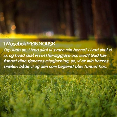 Picture 02 - 1 Mosebok 44:16 NORSK - Og Juda sa: Hvad skal vi svare min herre? Hvad - Bible Verse Picture
