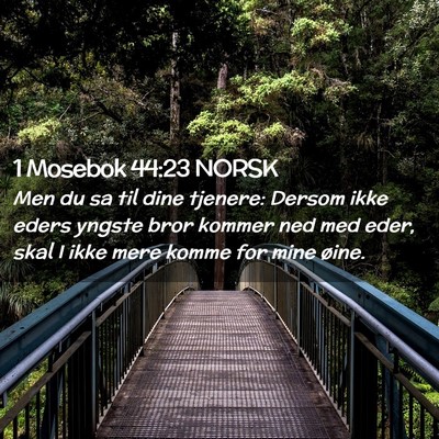 Picture 02 - 1 Mosebok 44:23 NORSK - Men du sa til dine tjenere: Dersom ikke eders - Bible Verse Picture