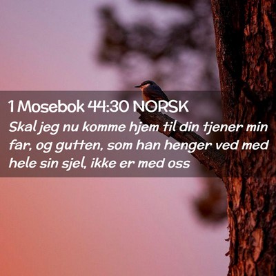 Picture 02 - 1 Mosebok 44:30 NORSK - Skal jeg nu komme hjem til din tjener min far, og - Bible Verse Picture