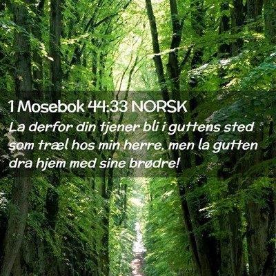 Picture 02 - 1 Mosebok 44:33 NORSK - La derfor din tjener bli i guttens sted som træl - Bible Verse Picture