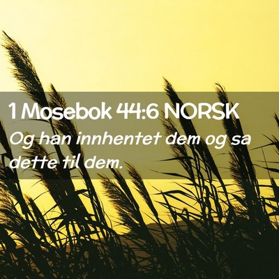 Picture 02 - 1 Mosebok 44:6 NORSK - Og han innhentet dem og sa dette til - Bible Verse Picture