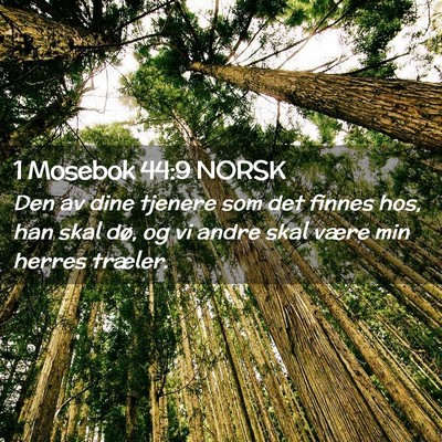 Picture 02 - 1 Mosebok 44:9 NORSK - Den av dine tjenere som det finnes hos, han skal - Bible Verse Picture