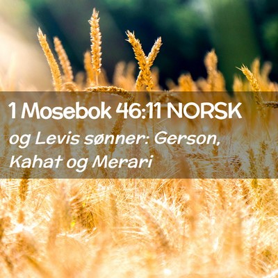 Picture 02 - 1 Mosebok 46:11 NORSK - og Levis sønner: Gerson, Kahat og - Bible Verse Picture