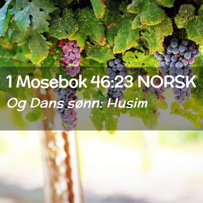 Picture 02 - 1 Mosebok 46:23 NORSK - Og Dans sønn: - Bible Verse Picture