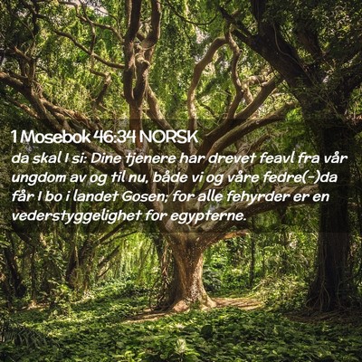 Picture 02 - 1 Mosebok 46:34 NORSK - da skal I si: Dine tjenere har drevet feavl fra - Bible Verse Picture