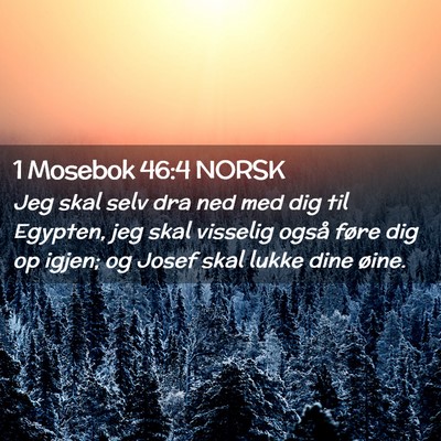 Picture 02 - 1 Mosebok 46:4 NORSK - Jeg skal selv dra ned med dig til Egypten, jeg - Bible Verse Picture