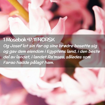 Picture 02 - 1 Mosebok 47:11 NORSK - Og Josef lot sin far og sine brødre bosette sig - Bible Verse Picture