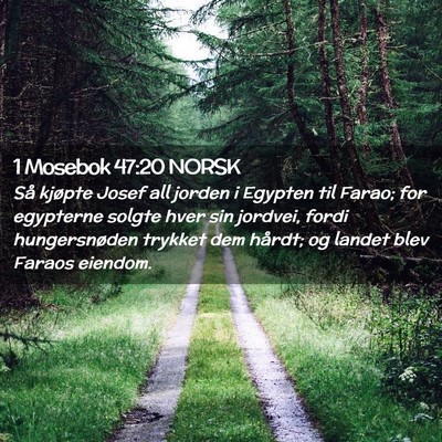 Picture 02 - 1 Mosebok 47:20 NORSK - Så kjøpte Josef all jorden i Egypten til Farao; - Bible Verse Picture