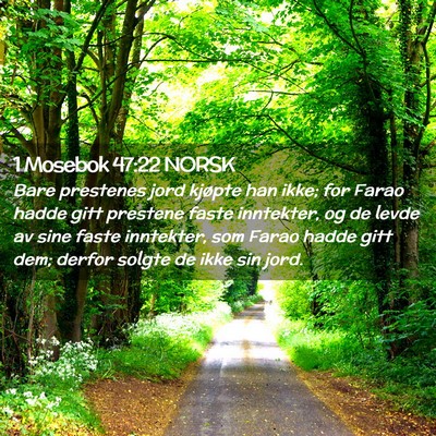 Picture 02 - 1 Mosebok 47:22 NORSK - Bare prestenes jord kjøpte han ikke; for Farao - Bible Verse Picture