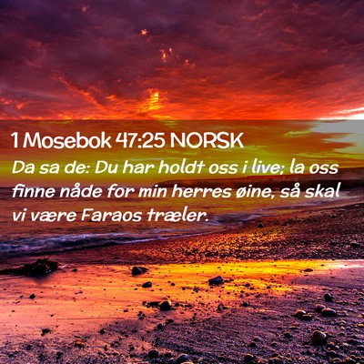Picture 02 - 1 Mosebok 47:25 NORSK - Da sa de: Du har holdt oss i live; la oss finne - Bible Verse Picture