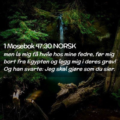 Picture 02 - 1 Mosebok 47:30 NORSK - men la mig få hvile hos mine fedre, før mig - Bible Verse Picture