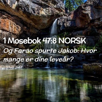 Picture 02 - 1 Mosebok 47:8 NORSK - Og Farao spurte Jakob: Hvor mange er dine - Bible Verse Picture