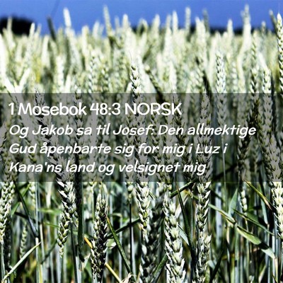 Picture 02 - 1 Mosebok 48:3 NORSK - Og Jakob sa til Josef: Den allmektige Gud - Bible Verse Picture