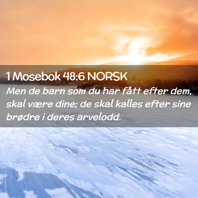 Picture 02 - 1 Mosebok 48:6 NORSK - Men de barn som du har fått efter dem, skal - Bible Verse Picture