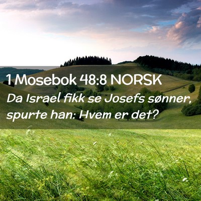 Picture 02 - 1 Mosebok 48:8 NORSK - Da Israel fikk se Josefs sønner, spurte han: - Bible Verse Picture