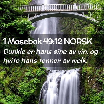 Picture 02 - 1 Mosebok 49:12 NORSK - Dunkle er hans øine av vin, og hvite hans tenner - Bible Verse Picture