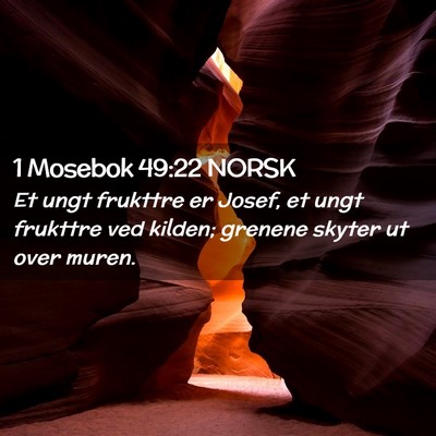 Picture 02 - 1 Mosebok 49:22 NORSK - Et ungt frukttre er Josef, et ungt frukttre ved - Bible Verse Picture