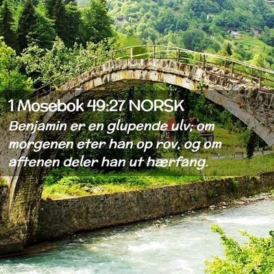 Picture 02 - 1 Mosebok 49:27 NORSK - Benjamin er en glupende ulv; om morgenen eter han - Bible Verse Picture